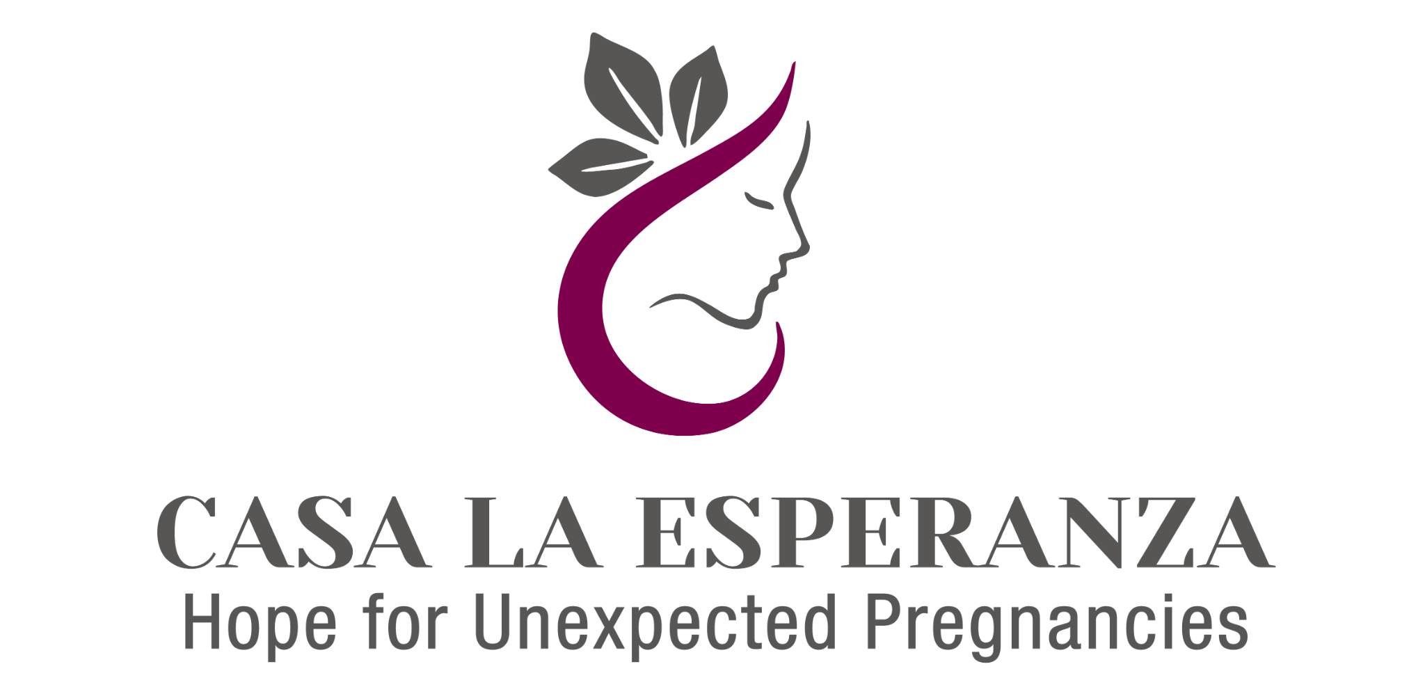 Casa La Esperanza logo